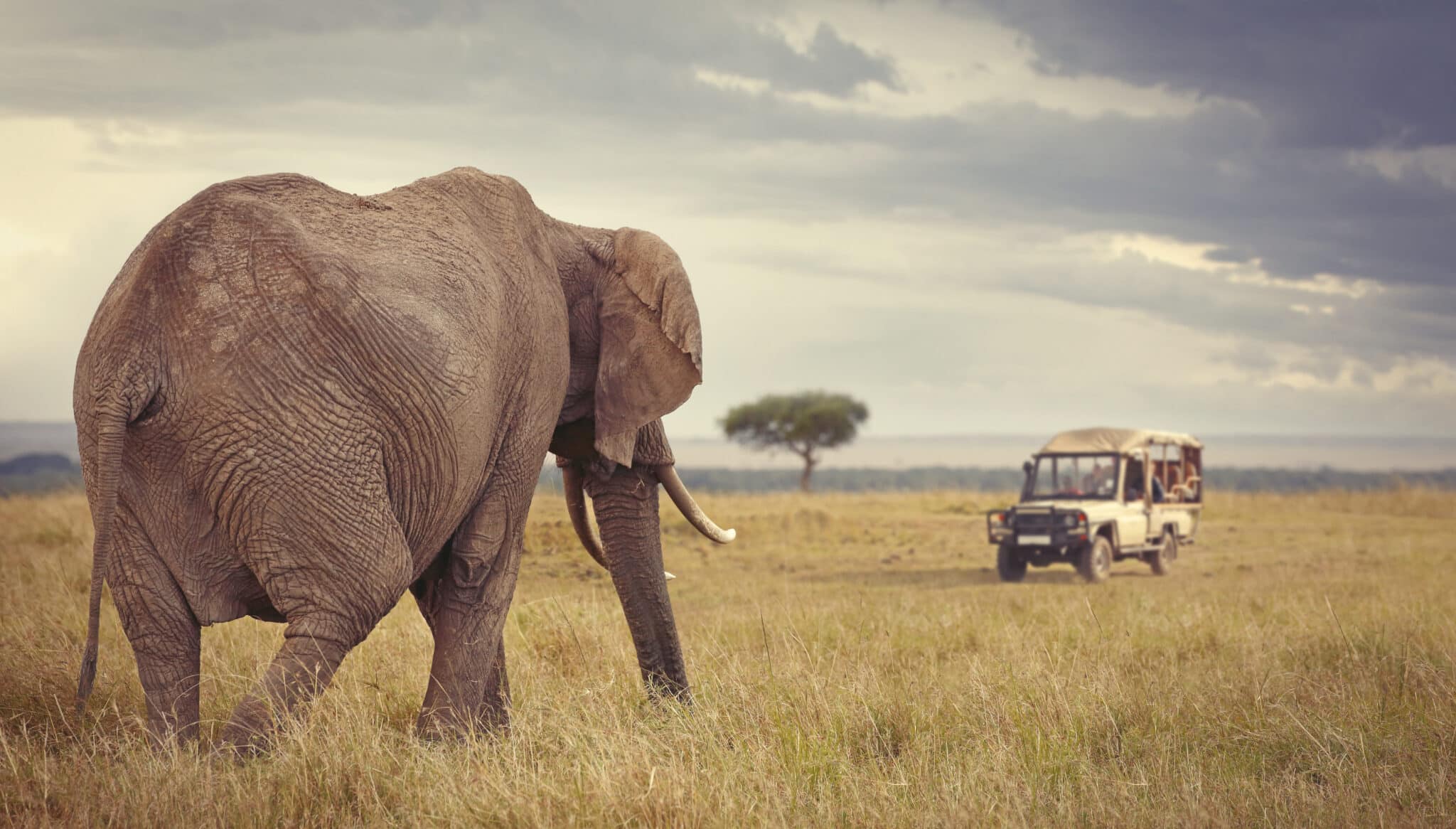 Africa