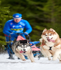 Finland–Estonia Aurora Hunting