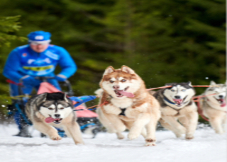 Finland–Estonia Aurora Hunting